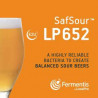 CURSO GRATIS FERMENTIS SOUR BEER