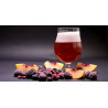 CURSO GRATIS CERVEZAS CON FRUTAS Y ESPECIAS
