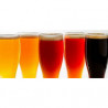 Cerveza Rubia Pilsen Clasica