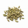 CARDAMOMO VERDE