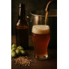 CURSO GRATIS INICIAL ELABORACION CERVEZA