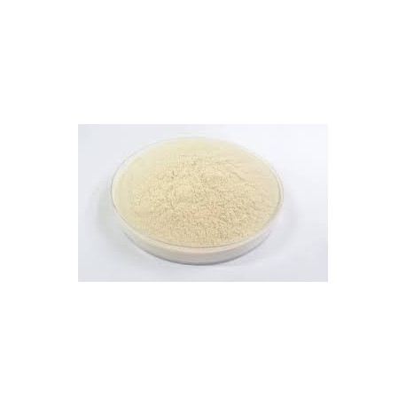 Whirlfloc Polvo